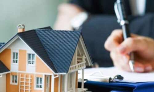 WhatsApp Image 2025-12-30 at 7.50.06 PM (1)